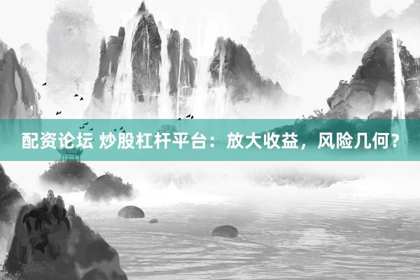 配资论坛 炒股杠杆平台：放大收益，风险几何？