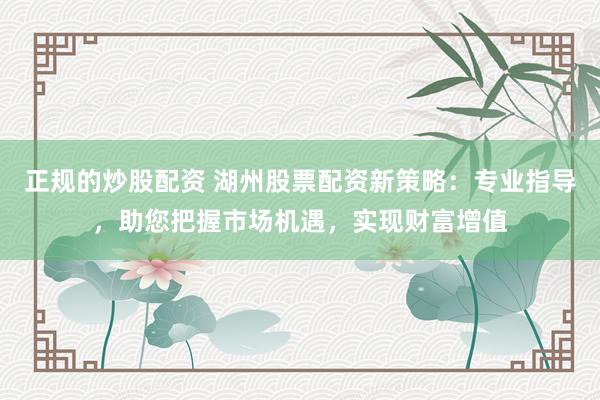 正规的炒股配资 湖州股票配资新策略：专业指导，助您把握市场机遇，实现财富增值