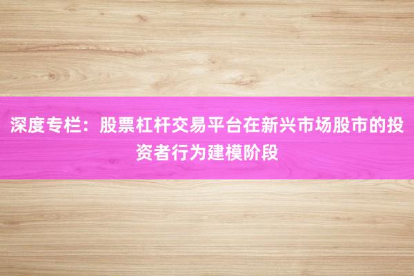 深度专栏：股票杠杆交易平台在新兴市场股市的投资者行为建模阶段