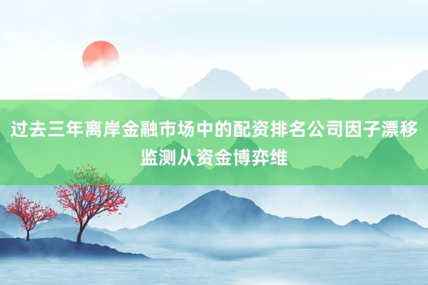 过去三年离岸金融市场中的配资排名公司因子漂移监测从资金博弈维