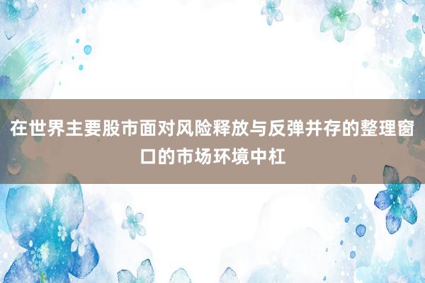 在世界主要股市面对风险释放与反弹并存的整理窗口的市场环境中杠