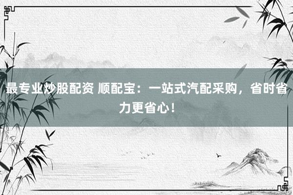 最专业炒股配资 顺配宝：一站式汽配采购，省时省力更省心！