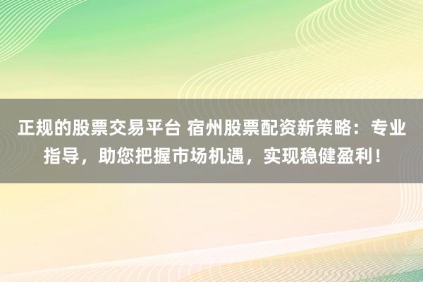 正规的股票交易平台 宿州股票配资新策略：专业指导，助您把握市场机遇，实现稳健盈利！