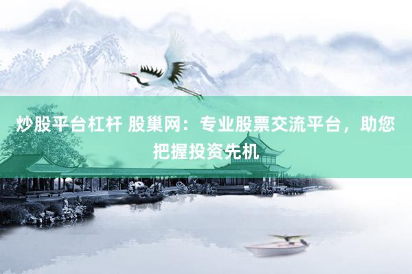 炒股平台杠杆 股巢网:专业股票交流平台,助您把握投资先机