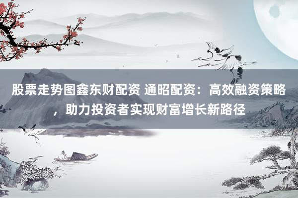 股票走势图鑫东财配资 通昭配资：高效融资策略，助力投资者实现财富增长新路径
